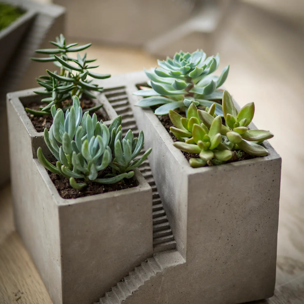 Cement Architectural Cube Planter III – Brutalist Staircase Succulent Pot