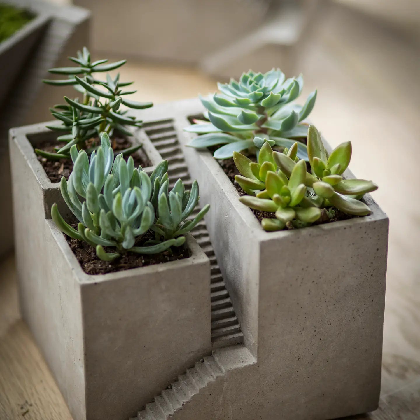 Cement Architectural Cube Planter III – Brutalist Staircase Succulent Pot