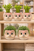 Cute Owl Face Planter - Special  Item # 33876