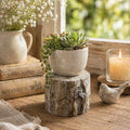 Distressed Cement Log Display Riser – Faux Wood Grain Plant Stand