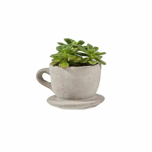 Concrete Tea Cup Planter with Attached Saucer – Cottagecore Succulent Pot