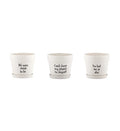 White Planters with Witty Sayings and Saucer Item