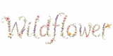 Wildflower Trading Co.  - Home