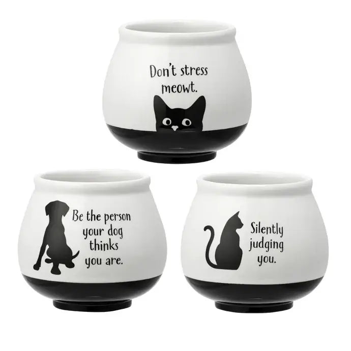 Witty Cat & Dog Quote Planter – Black & White Ceramic (Sold Individually, 3 Assorted)