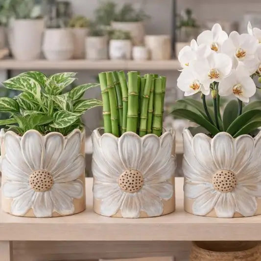 White Daisy Ceramic Planter – Sculpted Floral Pot for Summer Décor